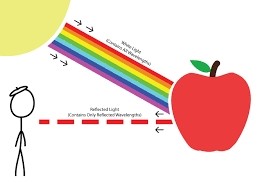 سیب ، پیوند های ما با دنیای رنگ